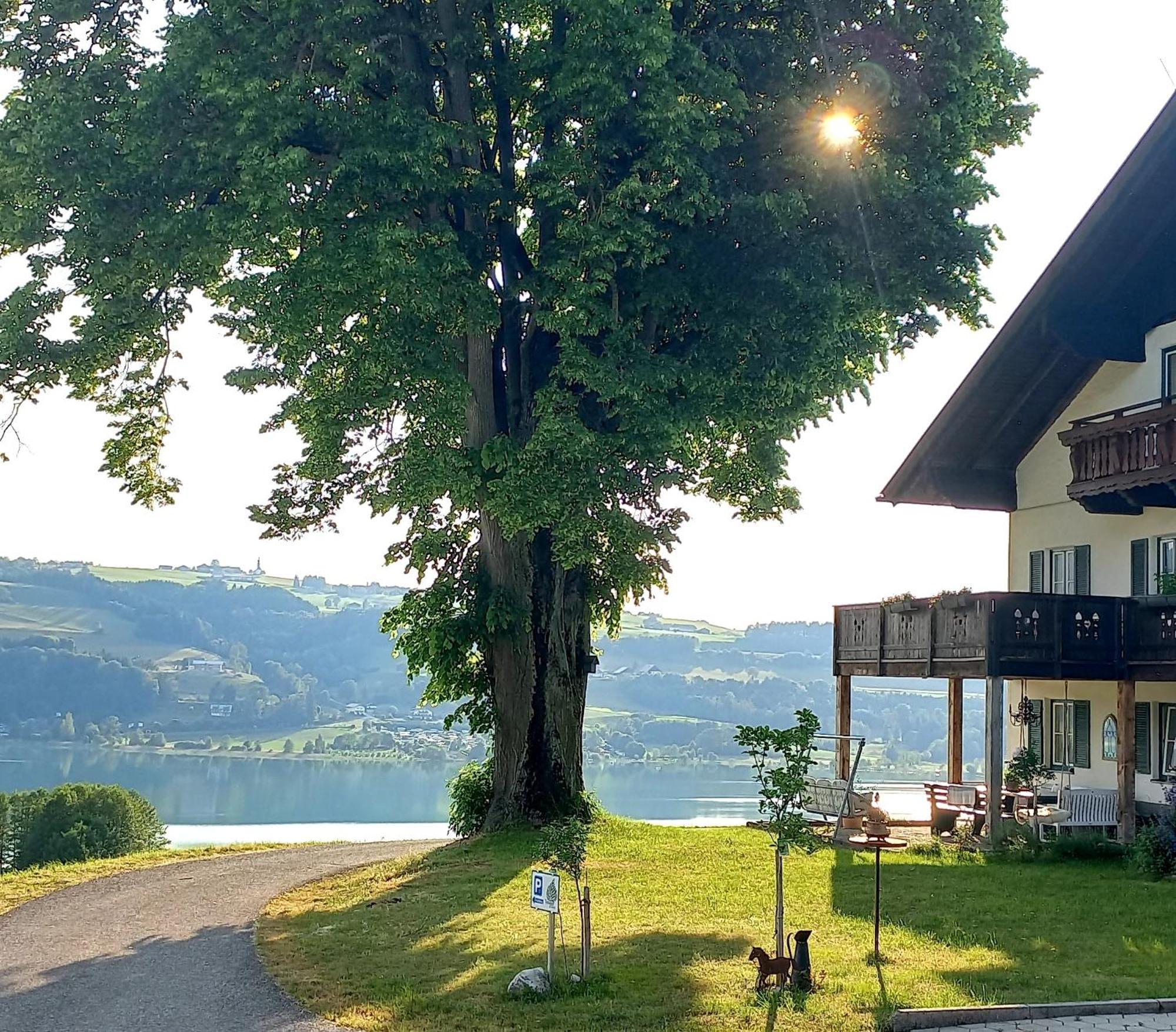 Roiderhof Irrsee Oberhofen am Irrsee Extérieur photo