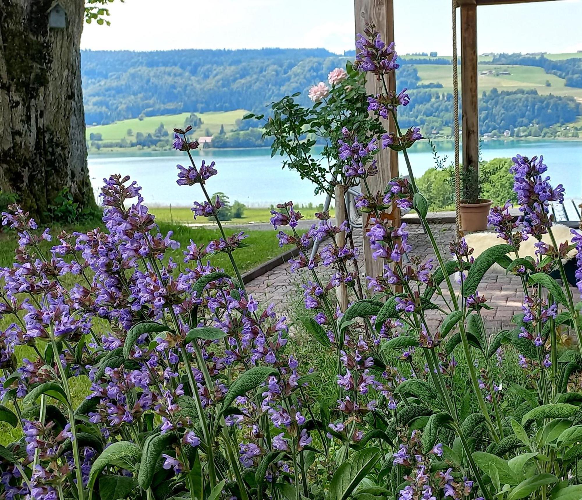 Roiderhof Irrsee Oberhofen am Irrsee Extérieur photo